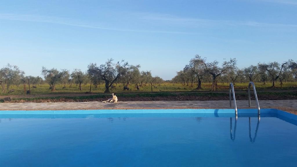 Casa Rural Valdezaque Cordobilla de Lácara Buitenkant foto