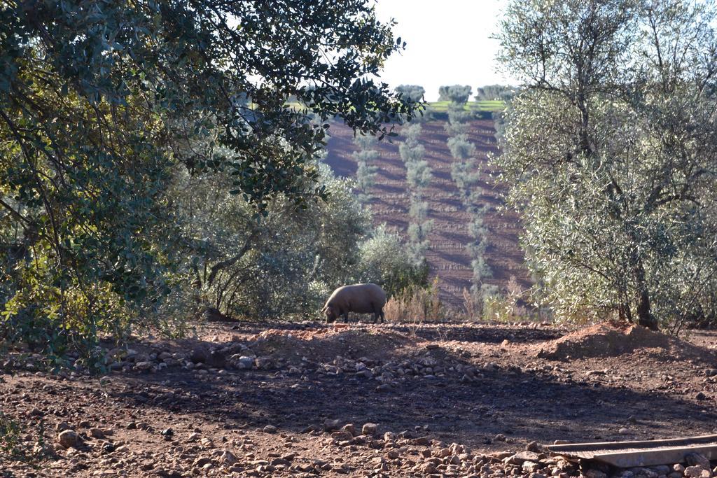 Casa Rural Valdezaque Cordobilla de Lácara Buitenkant foto