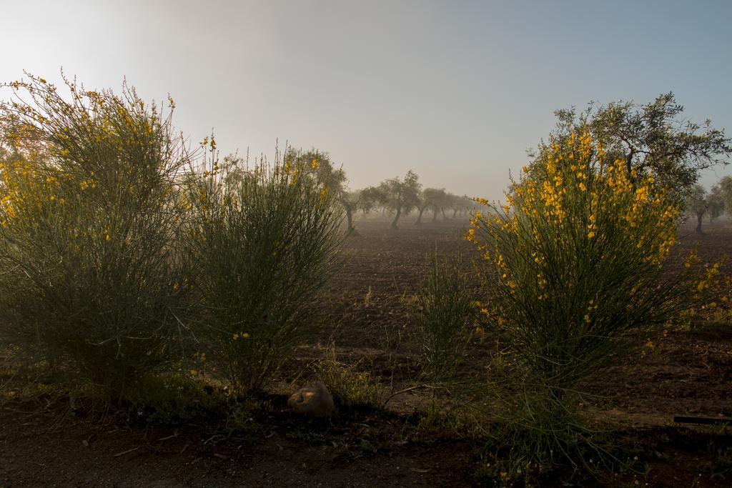 Casa Rural Valdezaque Cordobilla de Lácara Buitenkant foto